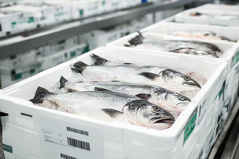 Fiskekasser med sporbarhetsmerker og etiketter i et ryddig mottak i Trøndelag